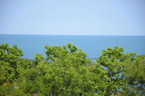  Razvan Holiday  Костинешти